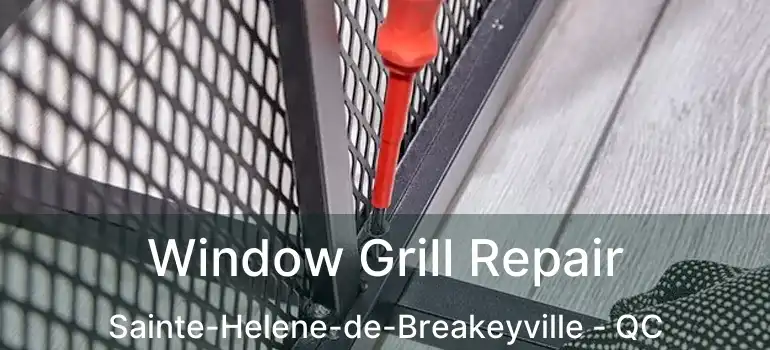  Window Grill Repair Sainte-Helene-de-Breakeyville - QC