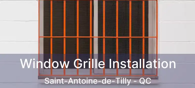  Window Grille Installation Saint-Antoine-de-Tilly - QC