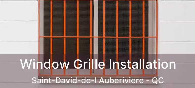  Window Grille Installation Saint-David-de-l Auberiviere - QC