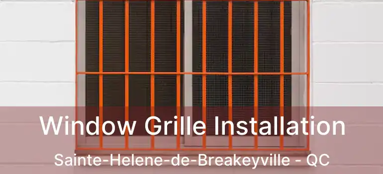  Window Grille Installation Sainte-Helene-de-Breakeyville - QC
