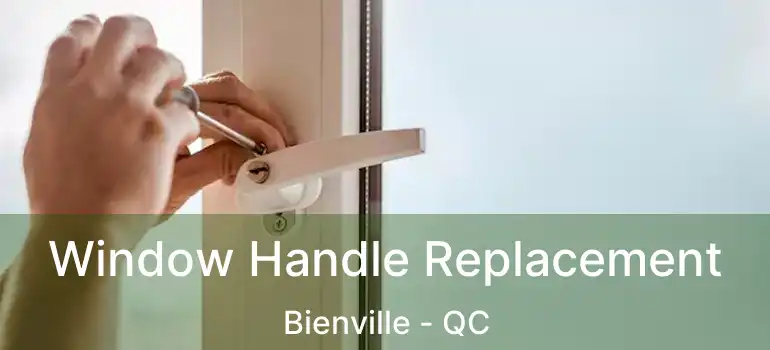  Window Handle Replacement Bienville - QC