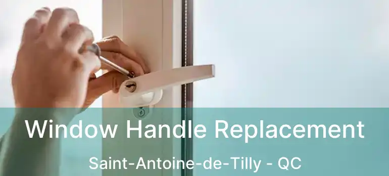  Window Handle Replacement Saint-Antoine-de-Tilly - QC