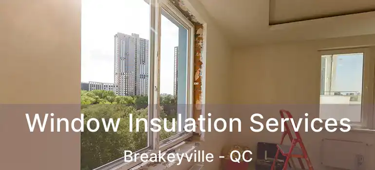  Window Insulation Services Breakeyville - QC