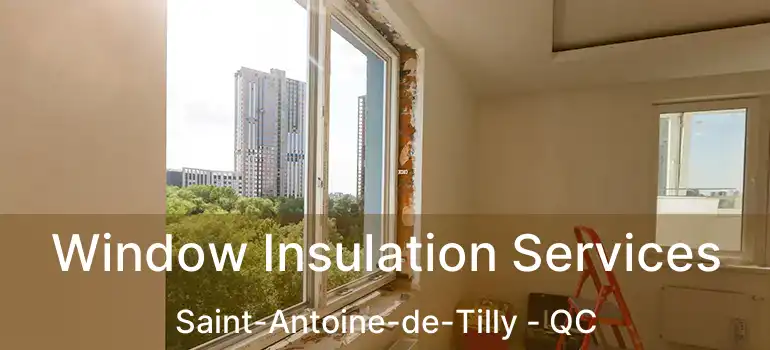  Window Insulation Services Saint-Antoine-de-Tilly - QC