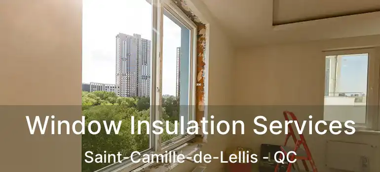  Window Insulation Services Saint-Camille-de-Lellis - QC