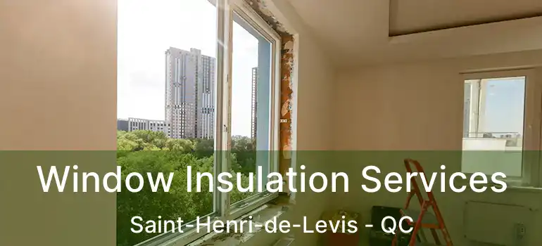  Window Insulation Services Saint-Henri-de-Levis - QC