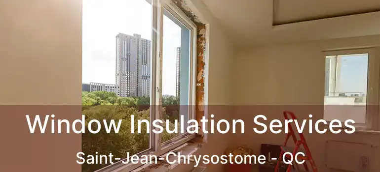  Window Insulation Services Saint-Jean-Chrysostome - QC