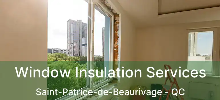  Window Insulation Services Saint-Patrice-de-Beaurivage - QC