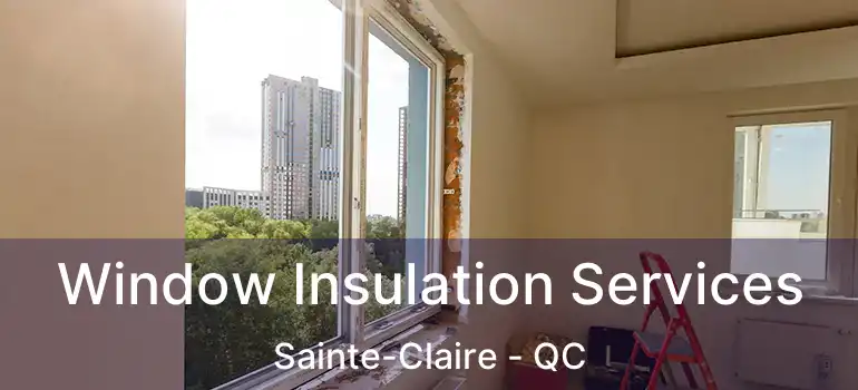  Window Insulation Services Sainte-Claire - QC