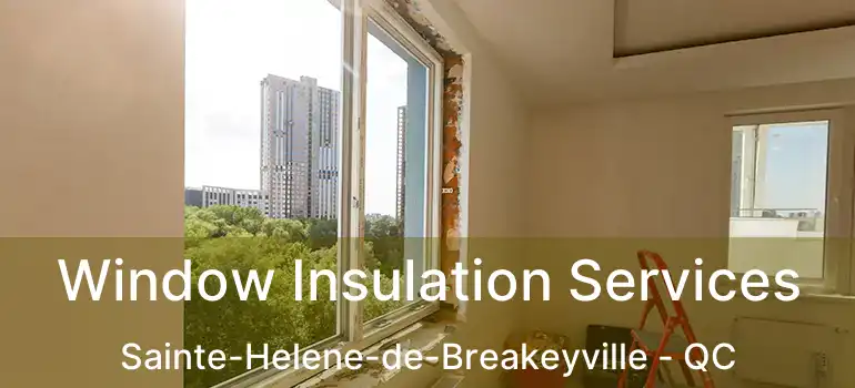  Window Insulation Services Sainte-Helene-de-Breakeyville - QC