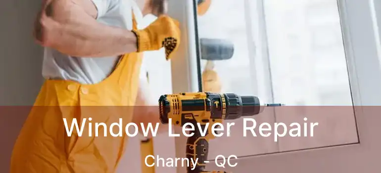  Window Lever Repair Charny - QC