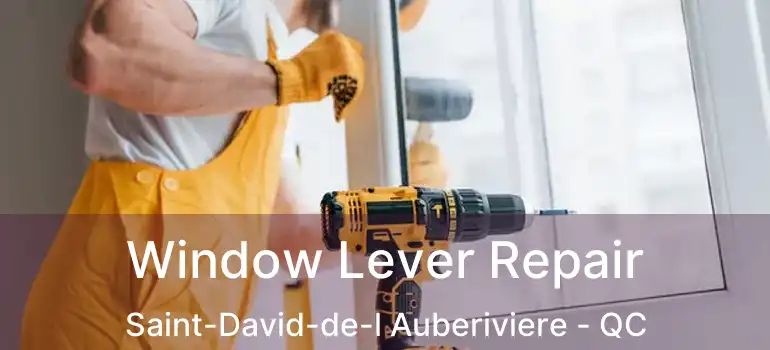  Window Lever Repair Saint-David-de-l Auberiviere - QC