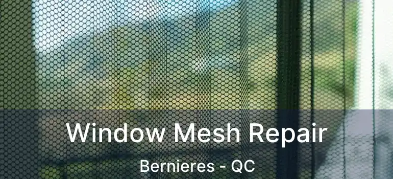  Window Mesh Repair Bernieres - QC