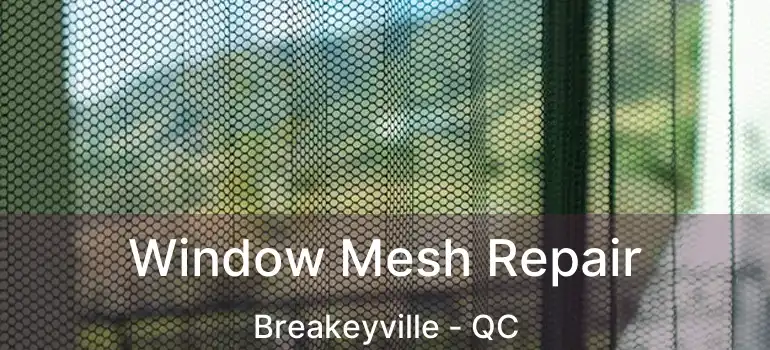  Window Mesh Repair Breakeyville - QC