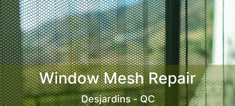  Window Mesh Repair Desjardins - QC