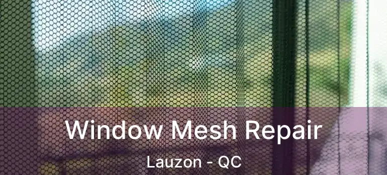  Window Mesh Repair Lauzon - QC
