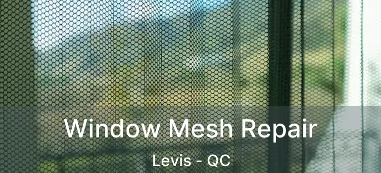  Window Mesh Repair Levis - QC