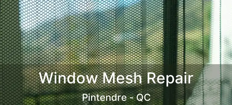  Window Mesh Repair Pintendre - QC