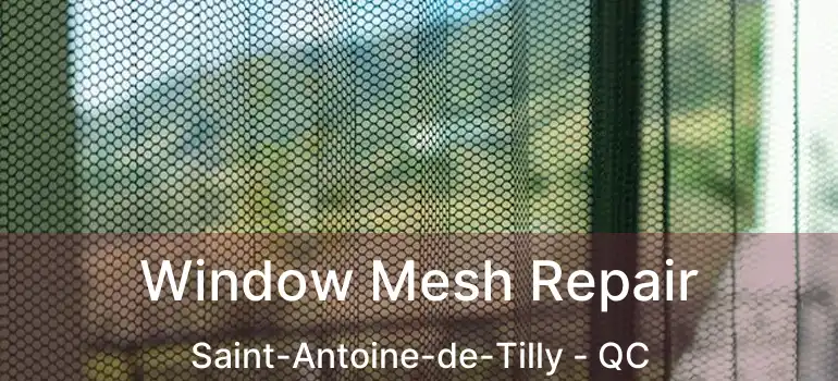  Window Mesh Repair Saint-Antoine-de-Tilly - QC