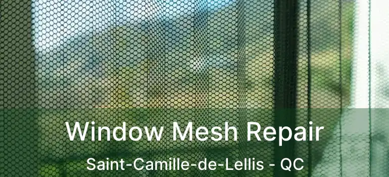  Window Mesh Repair Saint-Camille-de-Lellis - QC