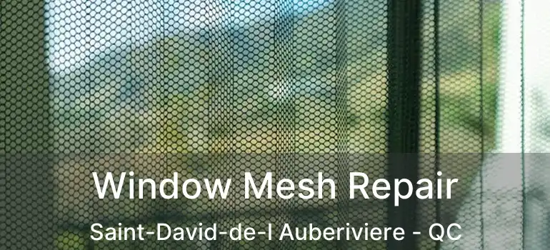  Window Mesh Repair Saint-David-de-l Auberiviere - QC