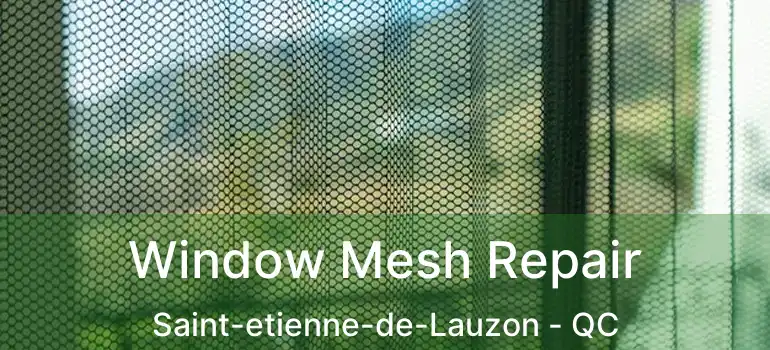 Window Mesh Repair Saint-etienne-de-Lauzon - QC