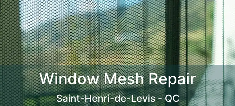  Window Mesh Repair Saint-Henri-de-Levis - QC