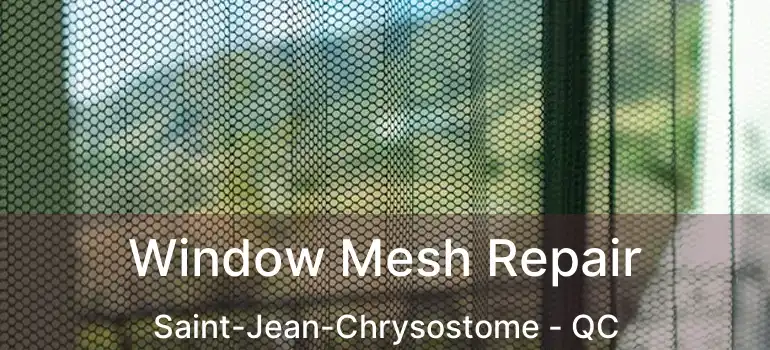  Window Mesh Repair Saint-Jean-Chrysostome - QC