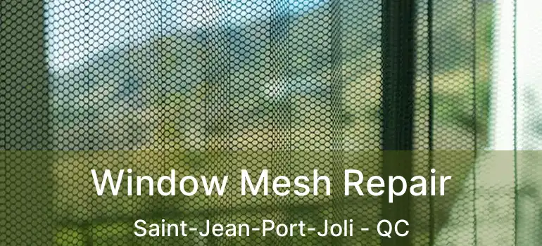  Window Mesh Repair Saint-Jean-Port-Joli - QC