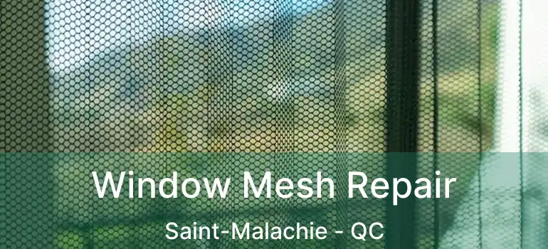  Window Mesh Repair Saint-Malachie - QC