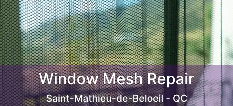  Window Mesh Repair Saint-Mathieu-de-Beloeil - QC