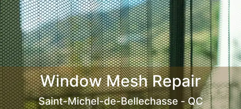  Window Mesh Repair Saint-Michel-de-Bellechasse - QC