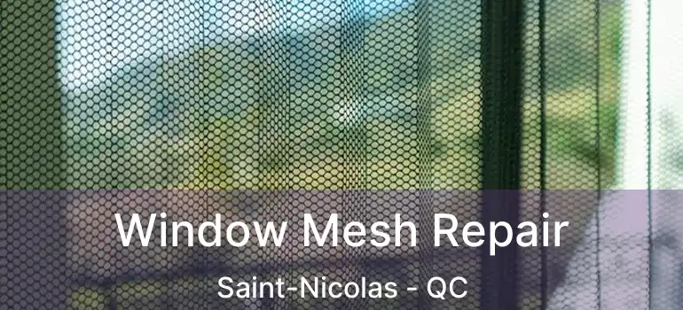  Window Mesh Repair Saint-Nicolas - QC