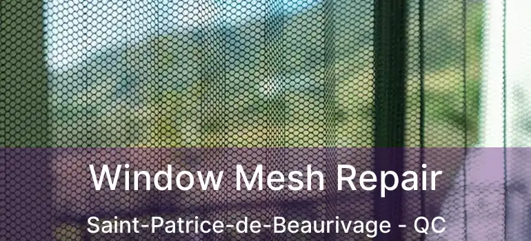  Window Mesh Repair Saint-Patrice-de-Beaurivage - QC