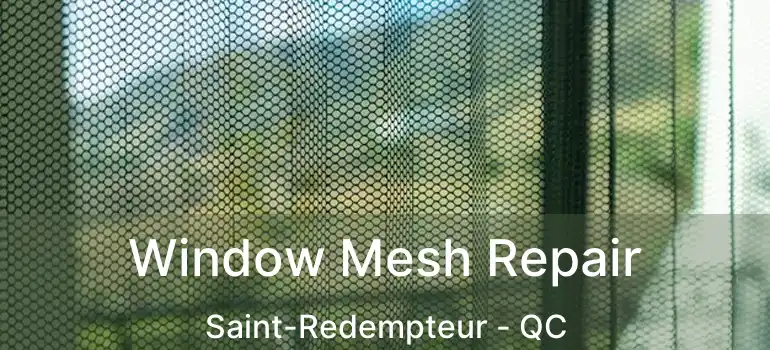  Window Mesh Repair Saint-Redempteur - QC