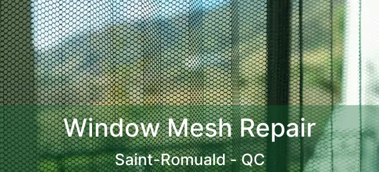  Window Mesh Repair Saint-Romuald - QC