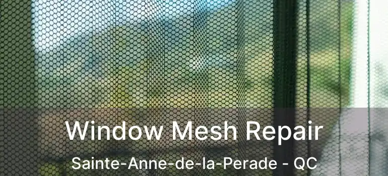  Window Mesh Repair Sainte-Anne-de-la-Perade - QC