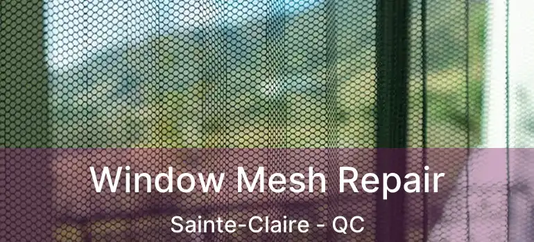  Window Mesh Repair Sainte-Claire - QC