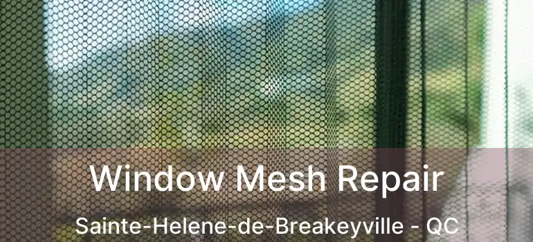  Window Mesh Repair Sainte-Helene-de-Breakeyville - QC
