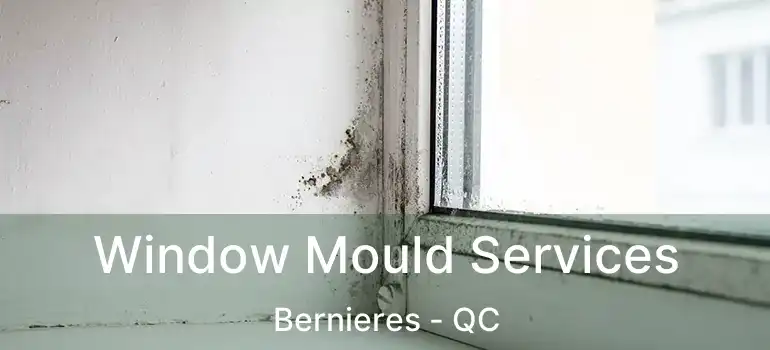  Window Mould Services Bernieres - QC
