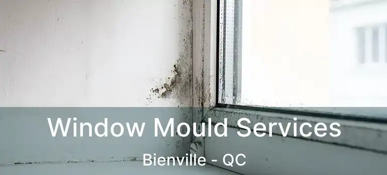  Window Mould Services Bienville - QC
