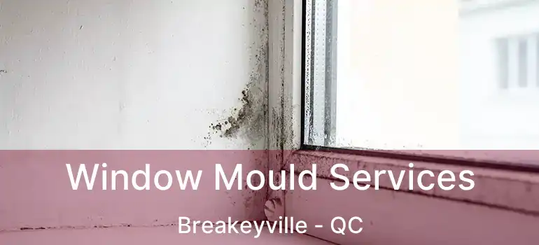  Window Mould Services Breakeyville - QC
