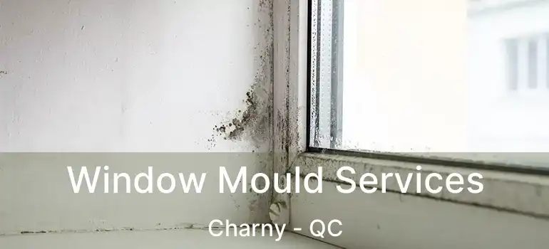  Window Mould Services Charny - QC