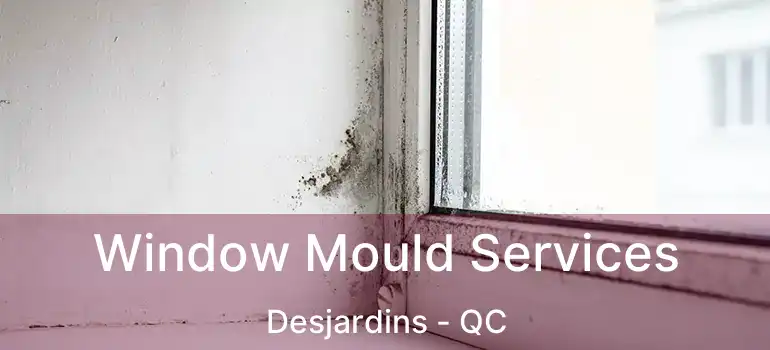  Window Mould Services Desjardins - QC