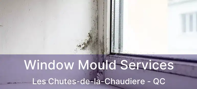  Window Mould Services Les Chutes-de-la-Chaudiere - QC