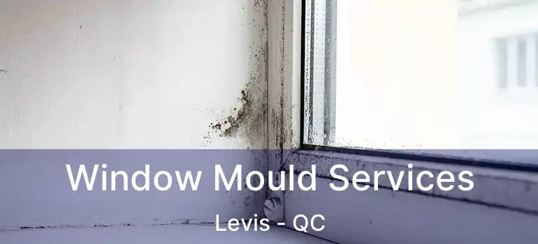  Window Mould Services Levis - QC