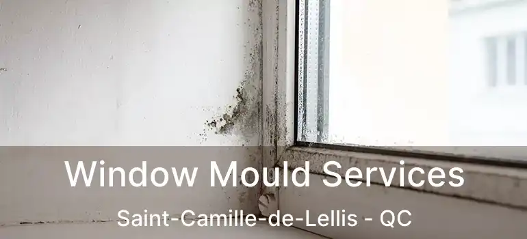  Window Mould Services Saint-Camille-de-Lellis - QC