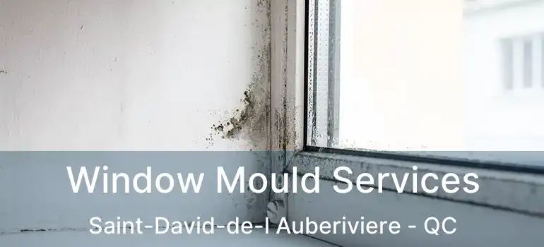  Window Mould Services Saint-David-de-l Auberiviere - QC