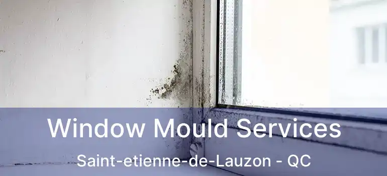  Window Mould Services Saint-etienne-de-Lauzon - QC