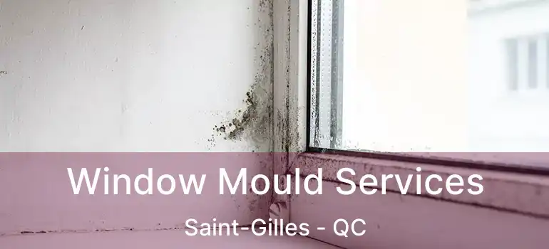  Window Mould Services Saint-Gilles - QC
